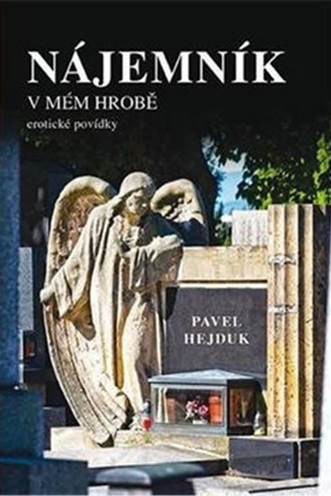 Levně Nájemník v mém hrobě - Pavel Hejduk