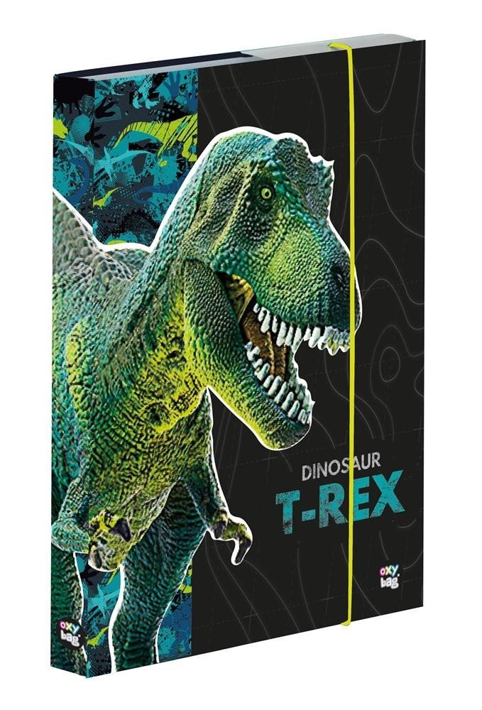 Box na sešity A4 Premium - Dinosaurus