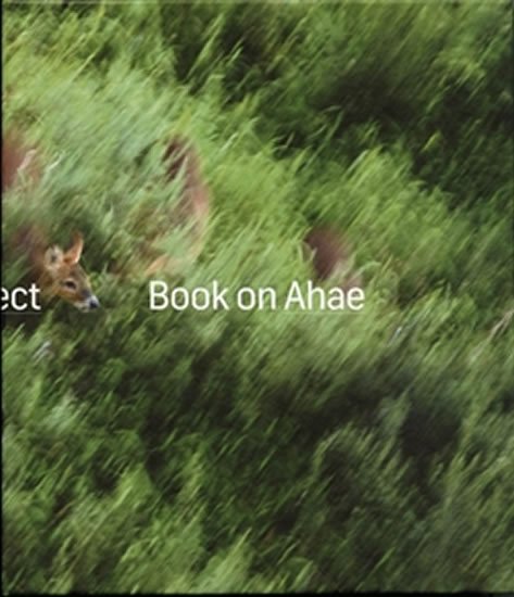 Book on Ahae - So Simple, so Beautiful, so Perfect - Milan Knížák