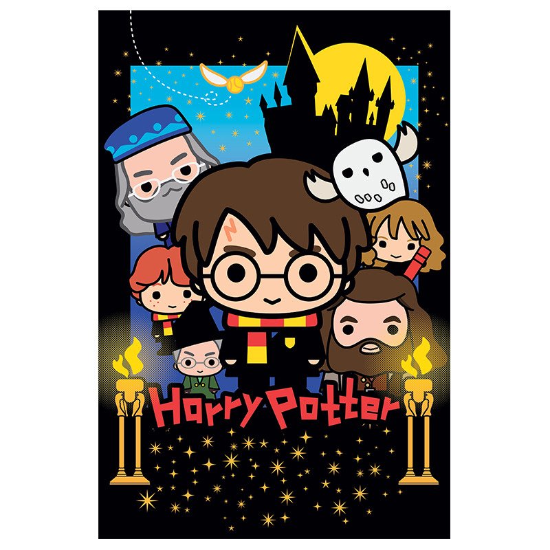 Levně Harry Potter 3D puzzle - Harry Potter 300 dílků + plyšák - Babu