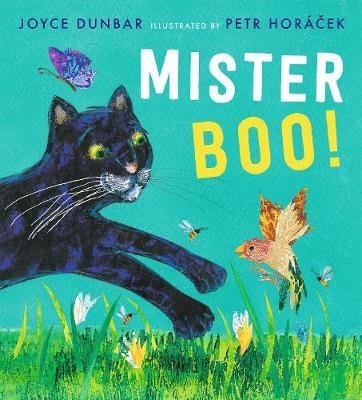 Levně Mister Boo! - Joyce Dunbar