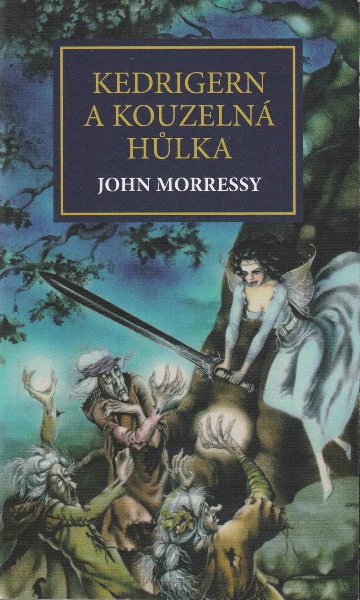 Levně Kedrigern a kouzelná hůlka - John Morressy