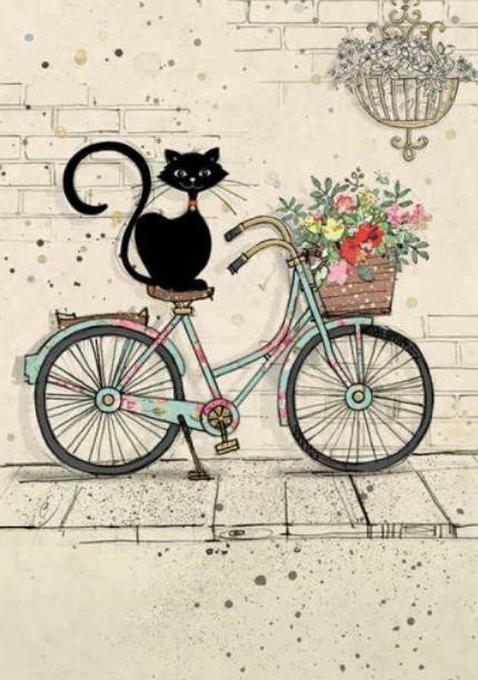 Levně Přání BUG ART - Kočka na kole