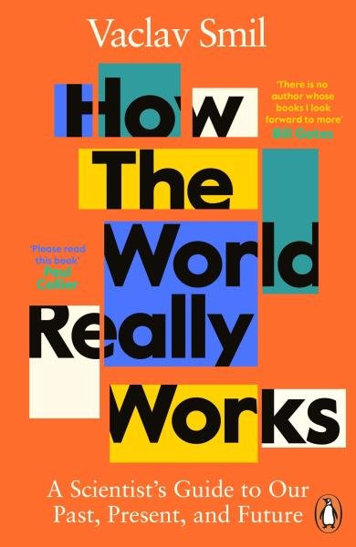 Levně How the World Really Works : A Scientist´s Guide to Our Past, Present and Future - Václav Smil