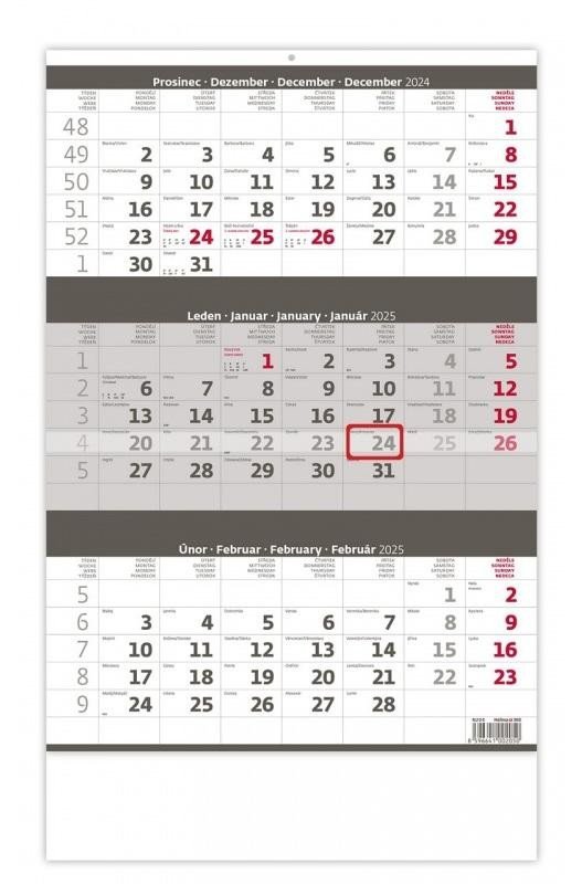 Levně Kalendář nástěnný 2025 - Tříměsíční šedý