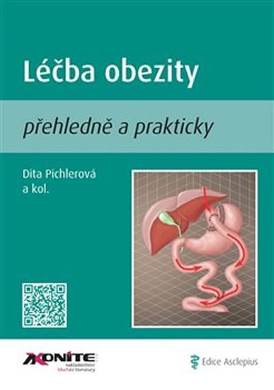 Levně Léčba obezity přehledně a prakticky - Dita Pichlerová