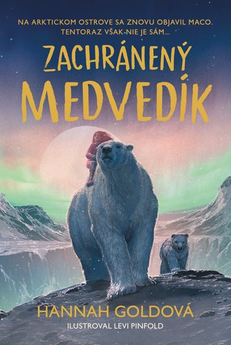 Levně Zachránený medvedík - Hannah Goldová