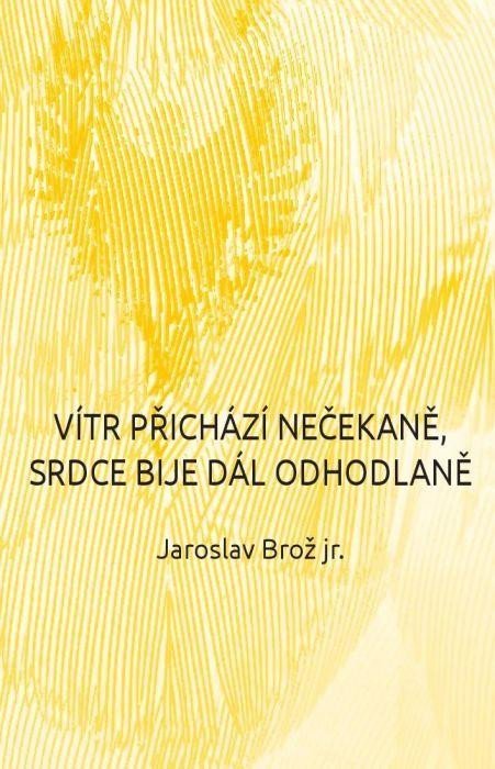 Levně Vítr přichází nečekaně, srdce bije dál odhodlaně - Jaroslav Brož