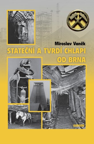 Levně Stateční a tvrdí chlapi od Brna - Miroslav Vaněk