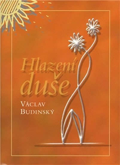 Levně Hlazení duše (v českém jazyce) - Václav Budinský
