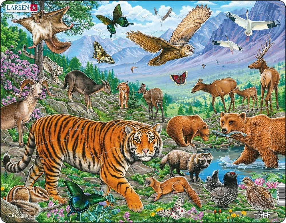Levně Puzzle MAXI - Amurský tygr v sibiřském létě/36 dílků - Larsen