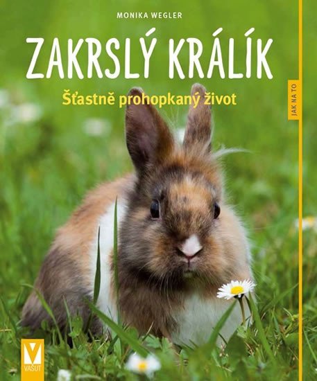 Levně Zakrslý králík: Šťastně prohopkaný život - Jak na to - Monika Weglerová