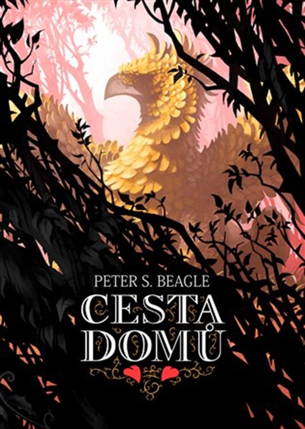 Levně Cesta domů - Peter S. Beagle