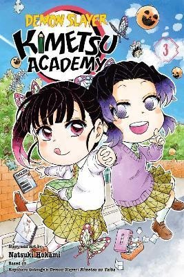 Levně Demon Slayer: Kimetsu Academy 3 - Kojoharu Gotóge