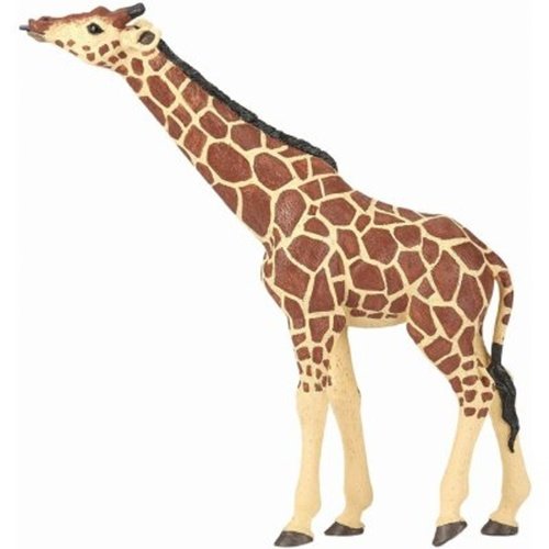 Žirafa s nataženým krkem