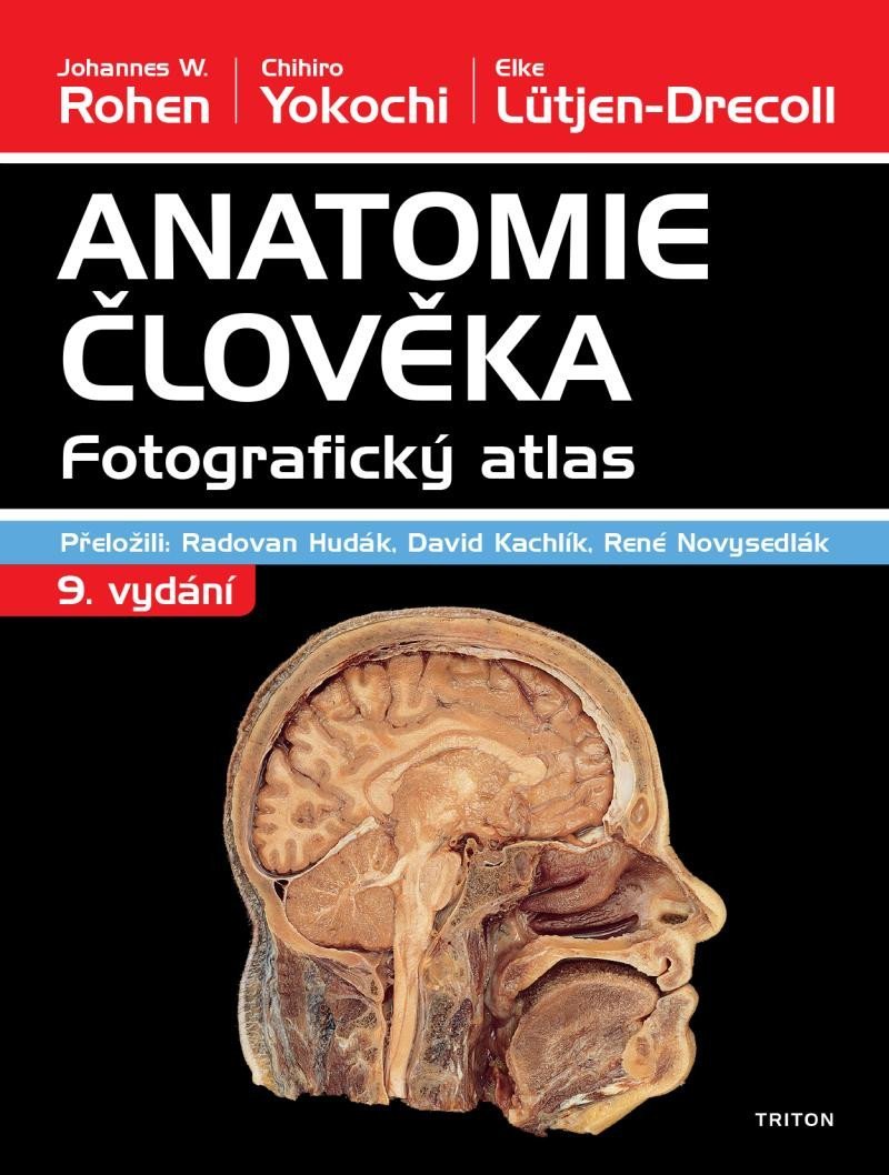 Levně Anatomie člověka - Fotografický atlas - Elke Lütjen-Drecoll
