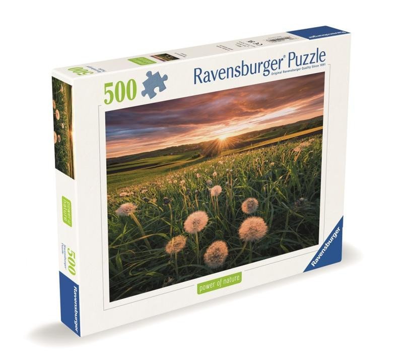 Levně Puzzle Pampelišky v západu slunce 500 dílků