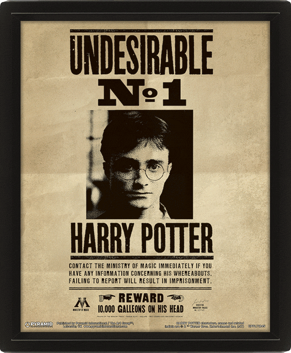 Levně Harry Potter: Obraz 3D - Sirius Black - EPEE