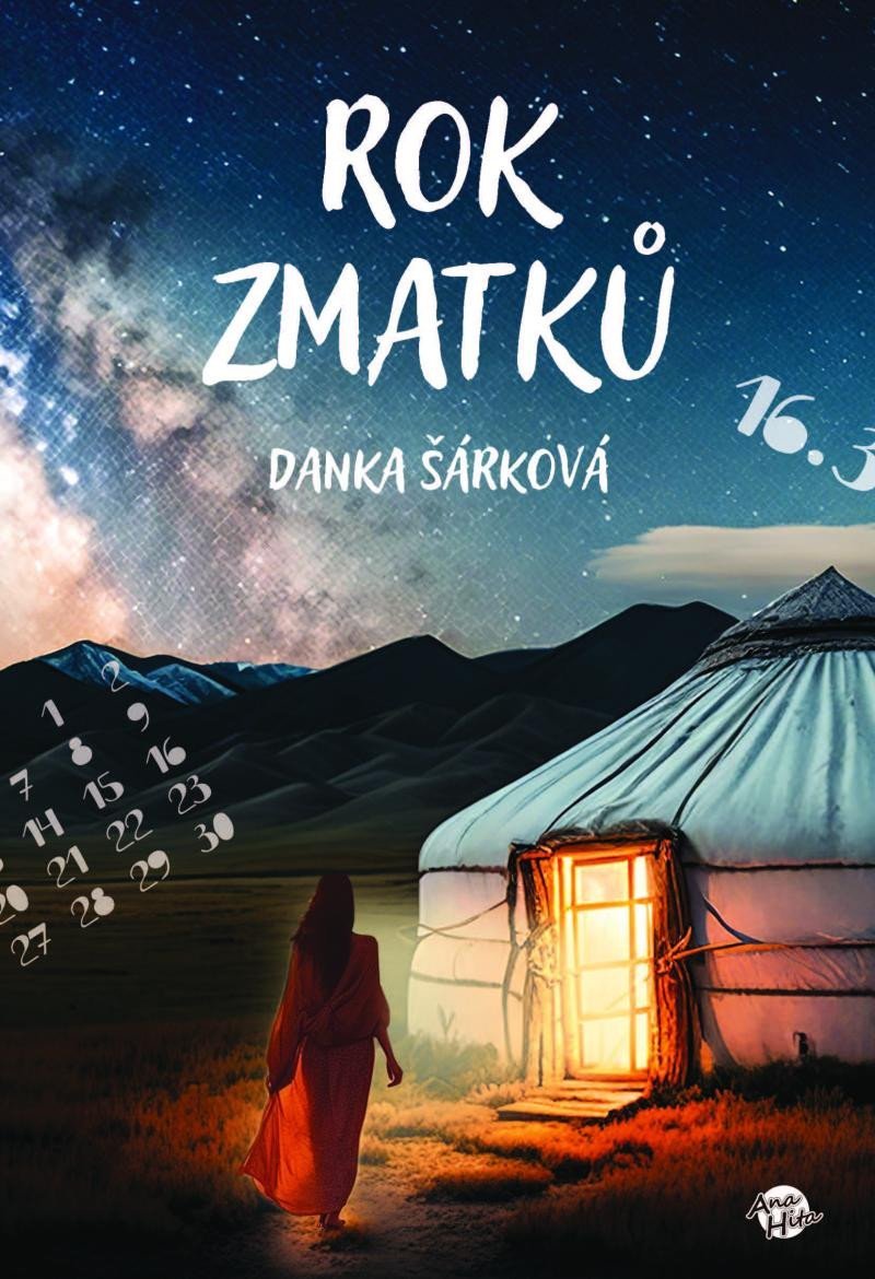 Levně Rok zmatků - Danka Šárková