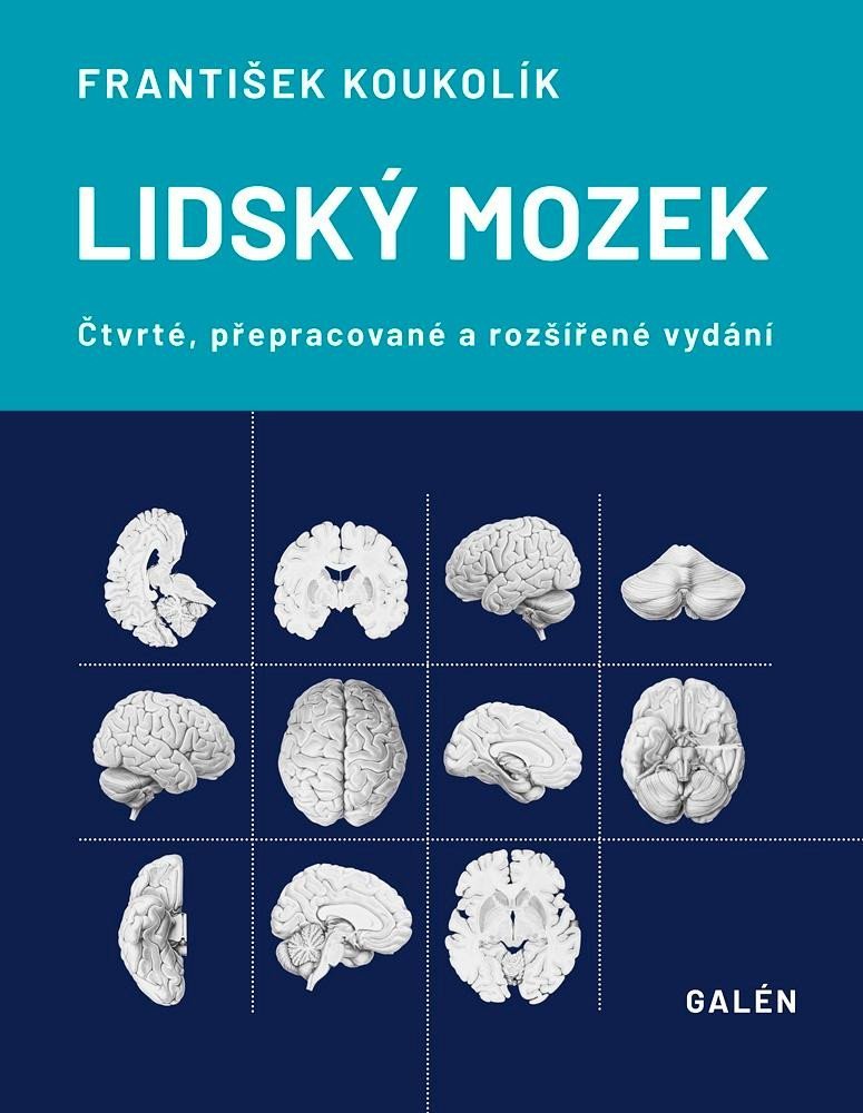 Levně Lidský mozek - František Koukolík
