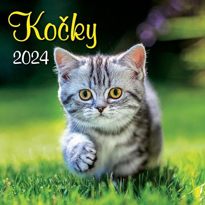 Levně Kalendář 2024 Kočky, nástěnný