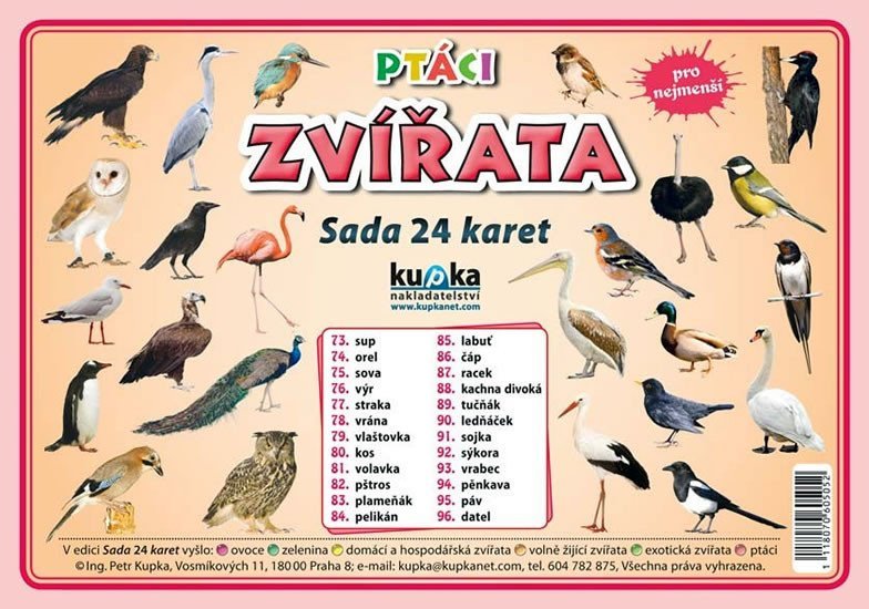 Levně Ptáci zvířata - Sada 24 karet - Petr Kupka