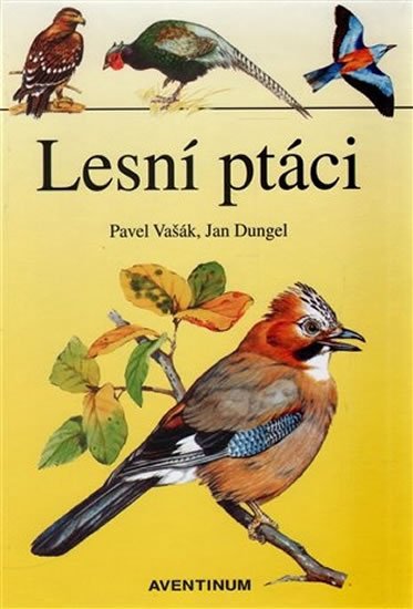 Levně Lesní ptáci - Pavel Vašák