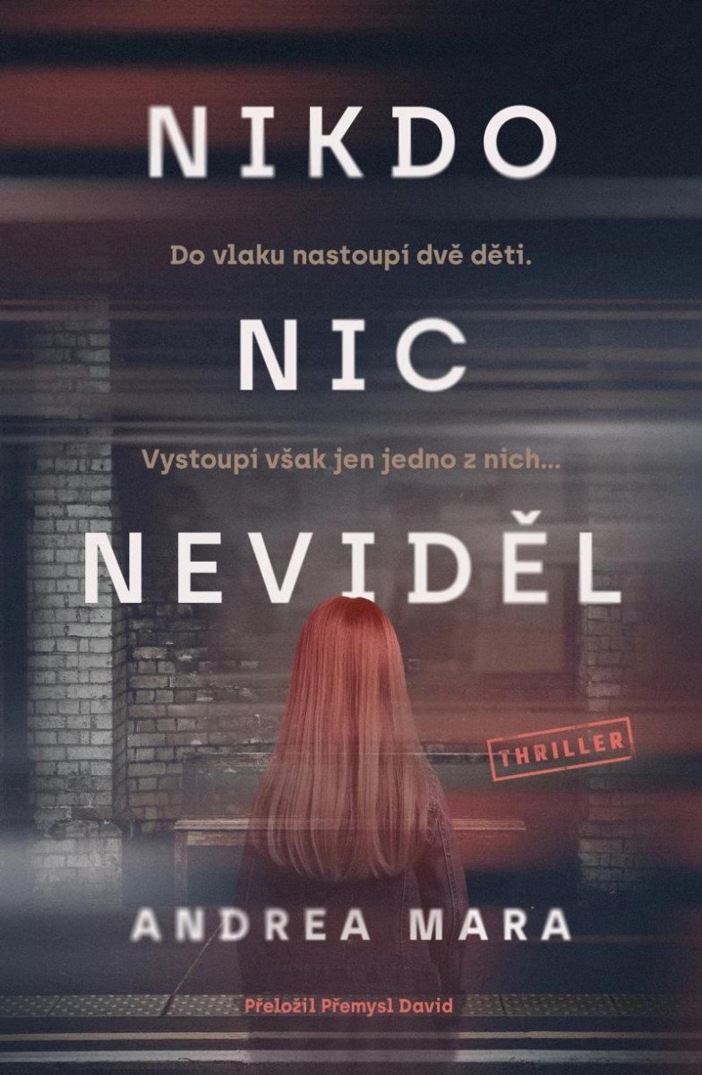 Levně Nikdo nic neviděl - Andrea Mara