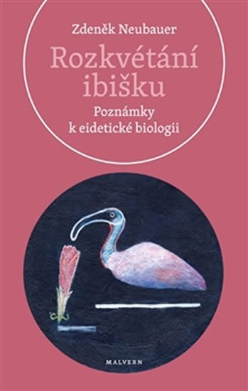 Rozkvétání ibišku - Poznámky k eidetické biologii - Zdeněk Neubauer