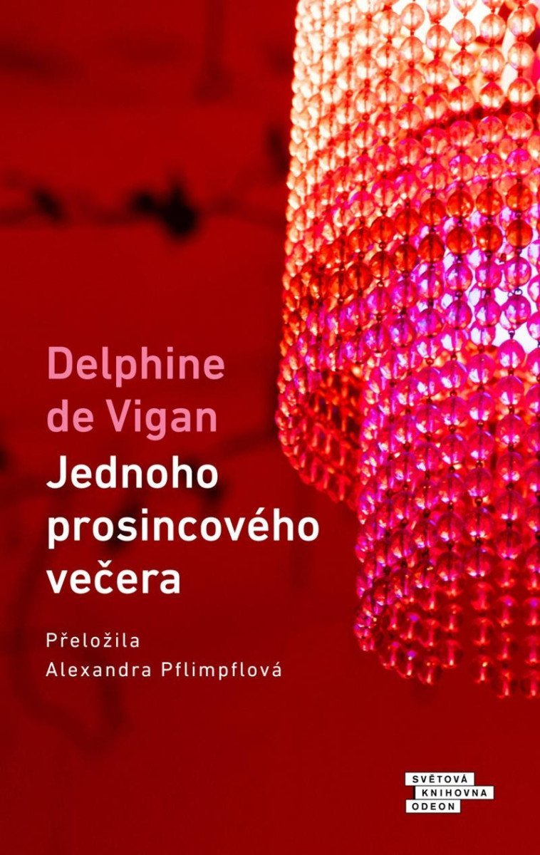 Levně Jednoho prosincového večera - Delphine de Vigan