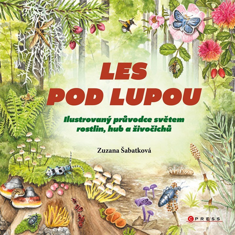 Levně Les pod lupou - Ilustrovaný průvodce světem rostlin, hub a živočichů - Zuzana Šabatková