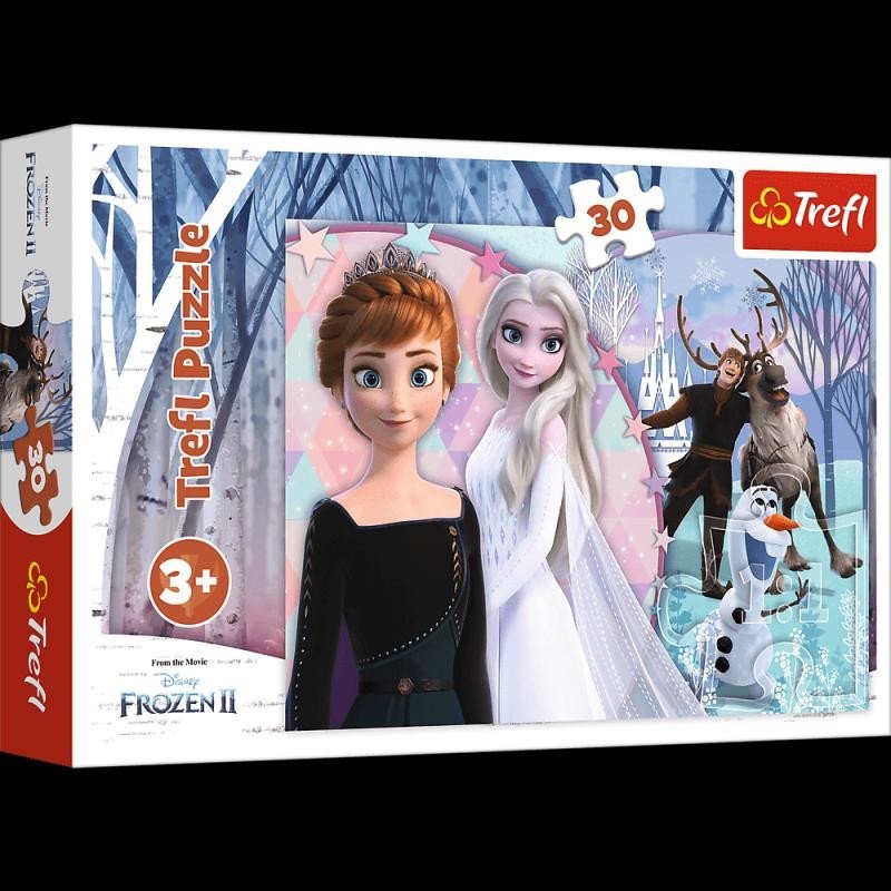 Levně Trefl Puzzle Frozen 2 / 30 dílků
