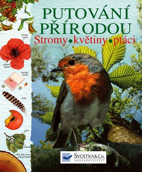 Putování přírodou - stromy, květiny, ptáci - Laura Howell