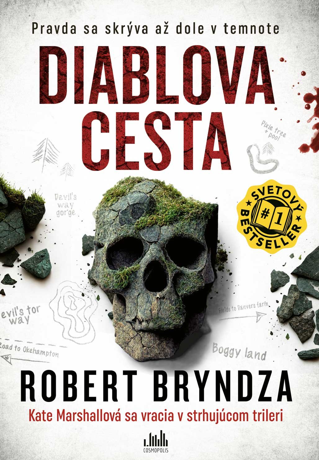 Levně Diablova cesta - Robert Bryndza