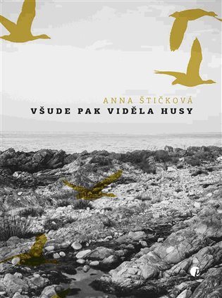 Levně Všude pak viděla husy - Anna Štičková