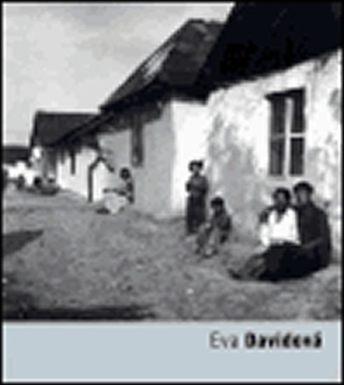 Eva Davidová - autorů kolektiv