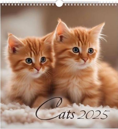 Levně Cats 2025 - nástěnný kalendář