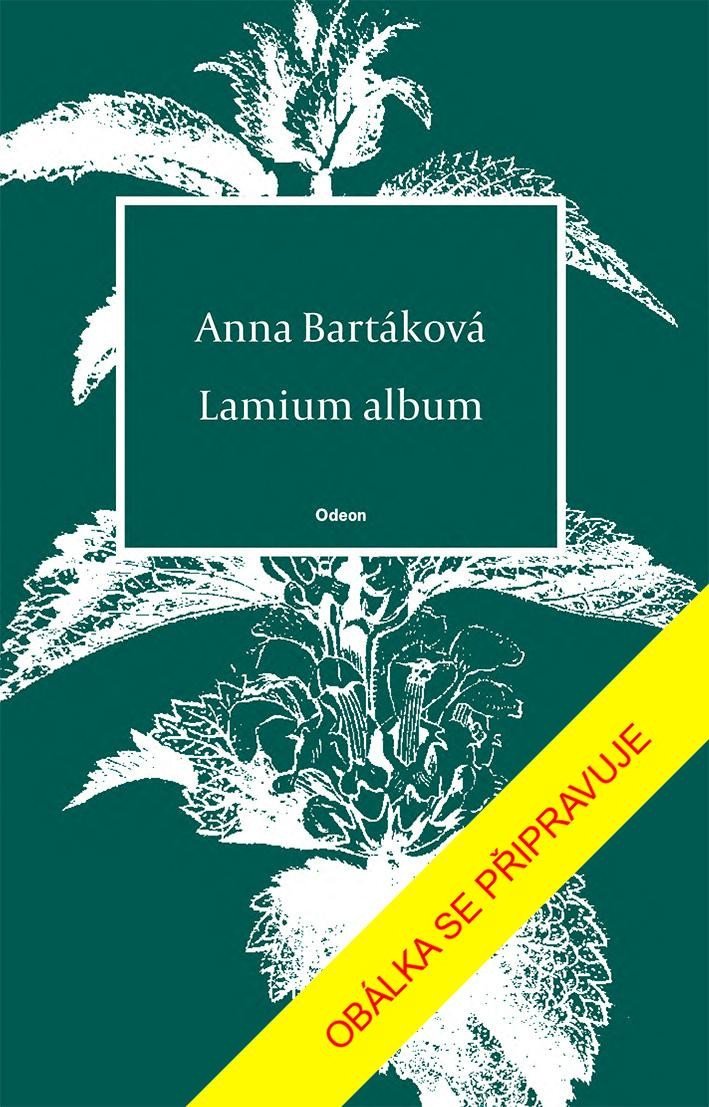 Lamium album - Anna Bartáková