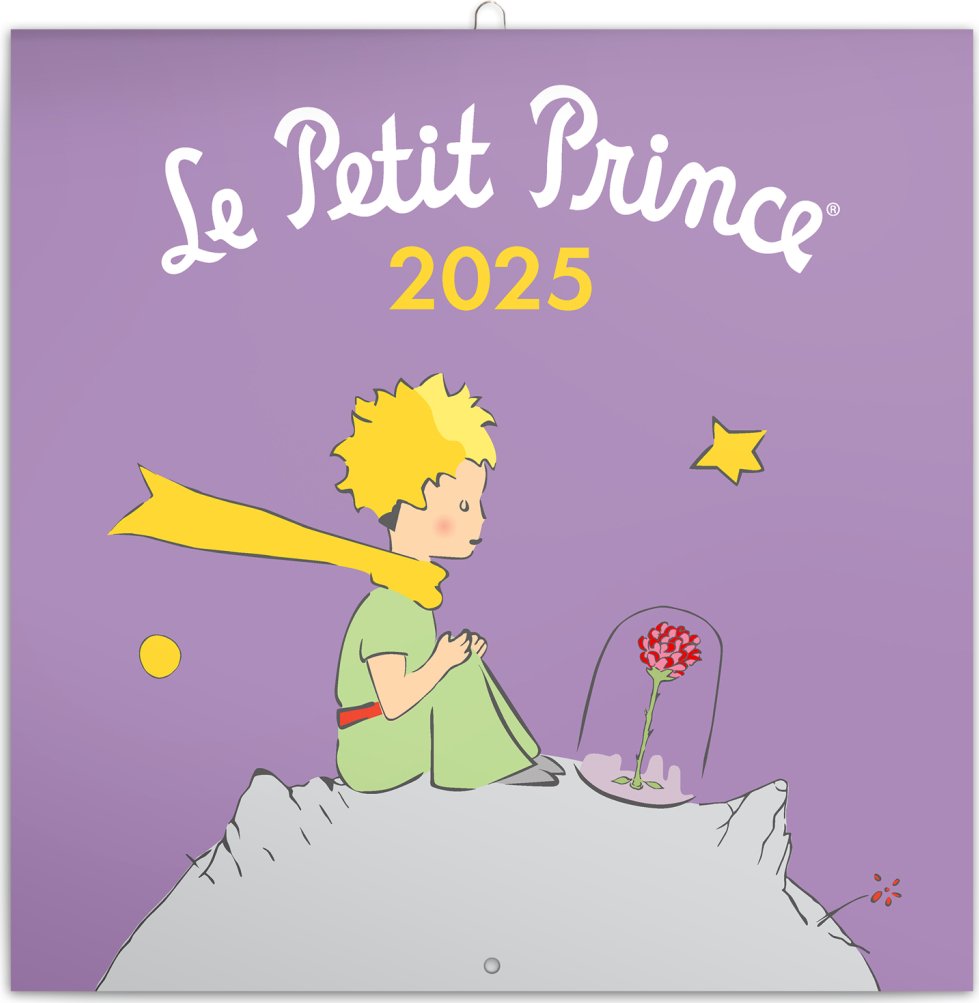 Levně Kalendář 2025 poznámkový: Malý princ, 30 × 30 cm