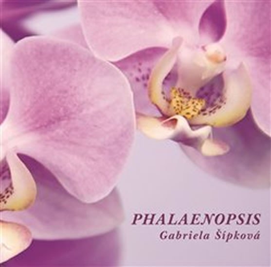 Phalaenopis - Gabriela Šípková