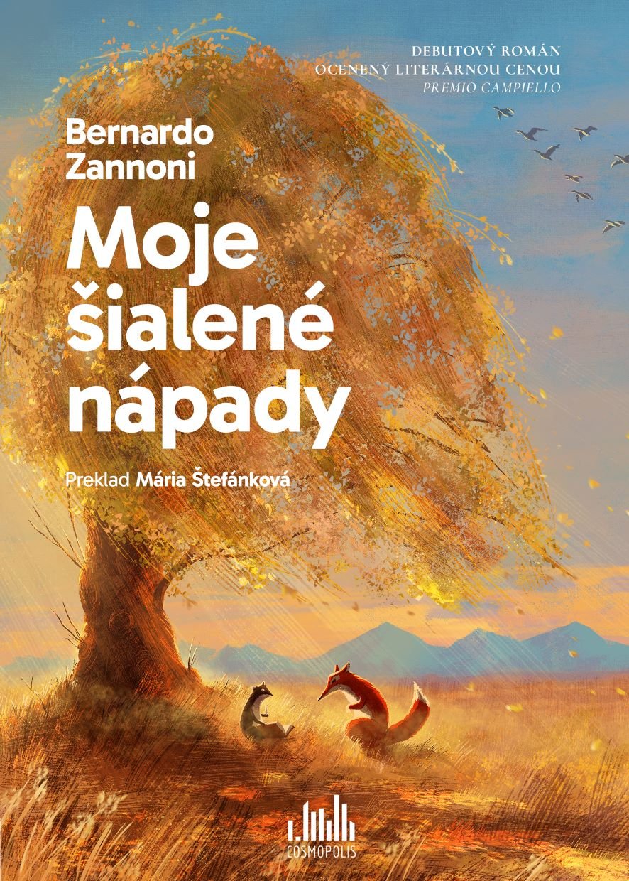 Levně Moje šialené nápady - Bernardo Zannoni