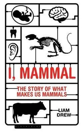 Levně I, Mammal : The Story of What Makes Us Mammals - Liam Drew