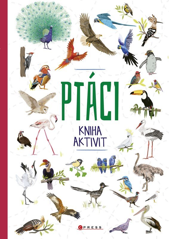 Ptáci - kniha aktivit - kolektiv.