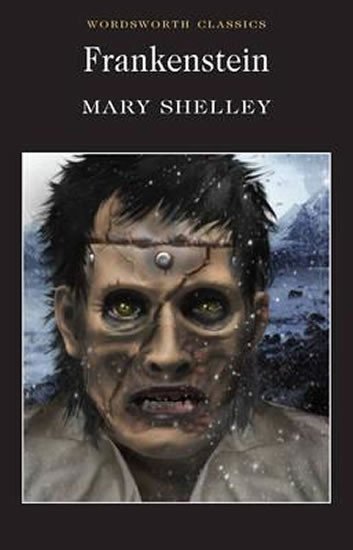 Frankenstein (anglicky) - Mary Wollstonecraft Shelley