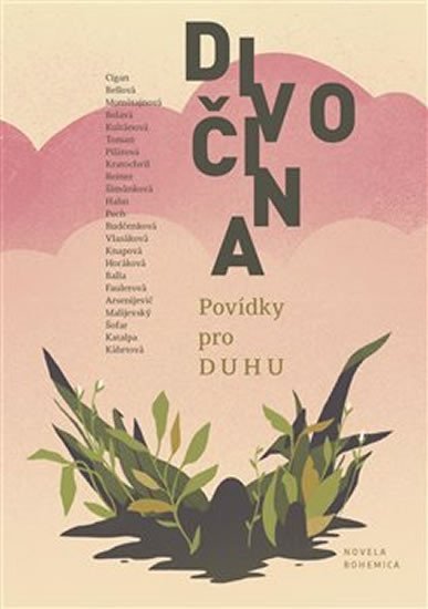 Levně Divočina - Povídky pro DUHU - autorů kolektiv