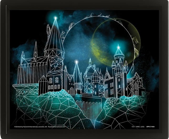 Harry Potter Obraz 3D - Bradavice - EPEE Merch - Pyramid
