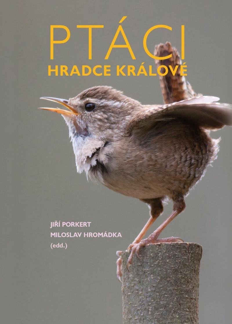 Levně Ptáci Hradce Králové, 1. vydání - Jiří Porkert