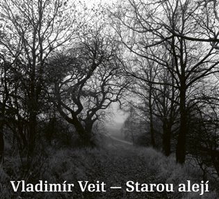 Levně Starou alejí - CD - Vladimír Veit