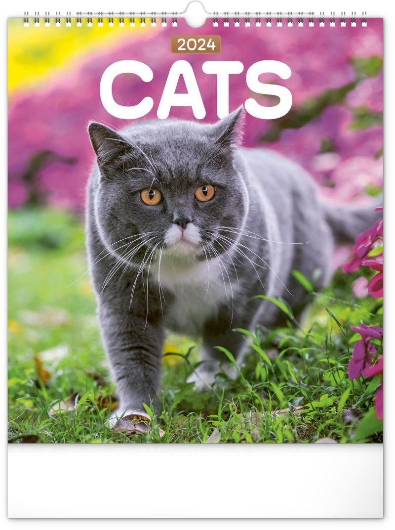 Levně Kalendář 2024 nástěnný: Kočky, 30 × 34 cm