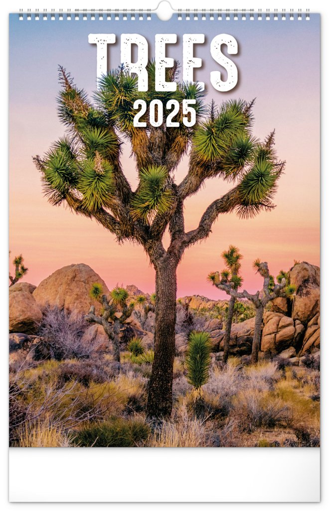 Levně Nástěnný kalendář Stromy 2025, 33 × 46 cm